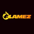 flamez casino logo norge